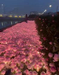 -曼格纳婚礼艺术中心(张江店)