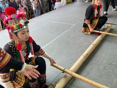 -西双版纳原始森林公园