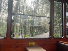 -合肥滨湖国家森林公园