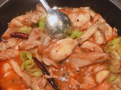 黑松露牛肝菌焖牛蛙-云海肴·汽锅鸡·云南菜(天山百盛优客店)