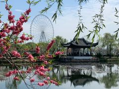 -无锡蠡湖国家湿地公园-蠡园