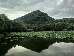 -八卦田遗址公园