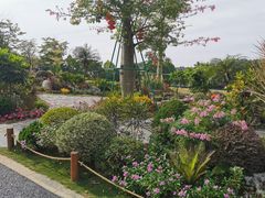 -东莞植物园
