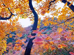 -周口店坡峰岭风景区