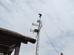 -吴桥杂技大世界