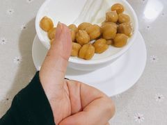 -老周记顺德双皮奶