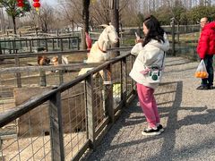 -前小桔亲子创意农场·草莓采摘·露营烧烤