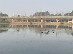 -白鹭湾湿地公园