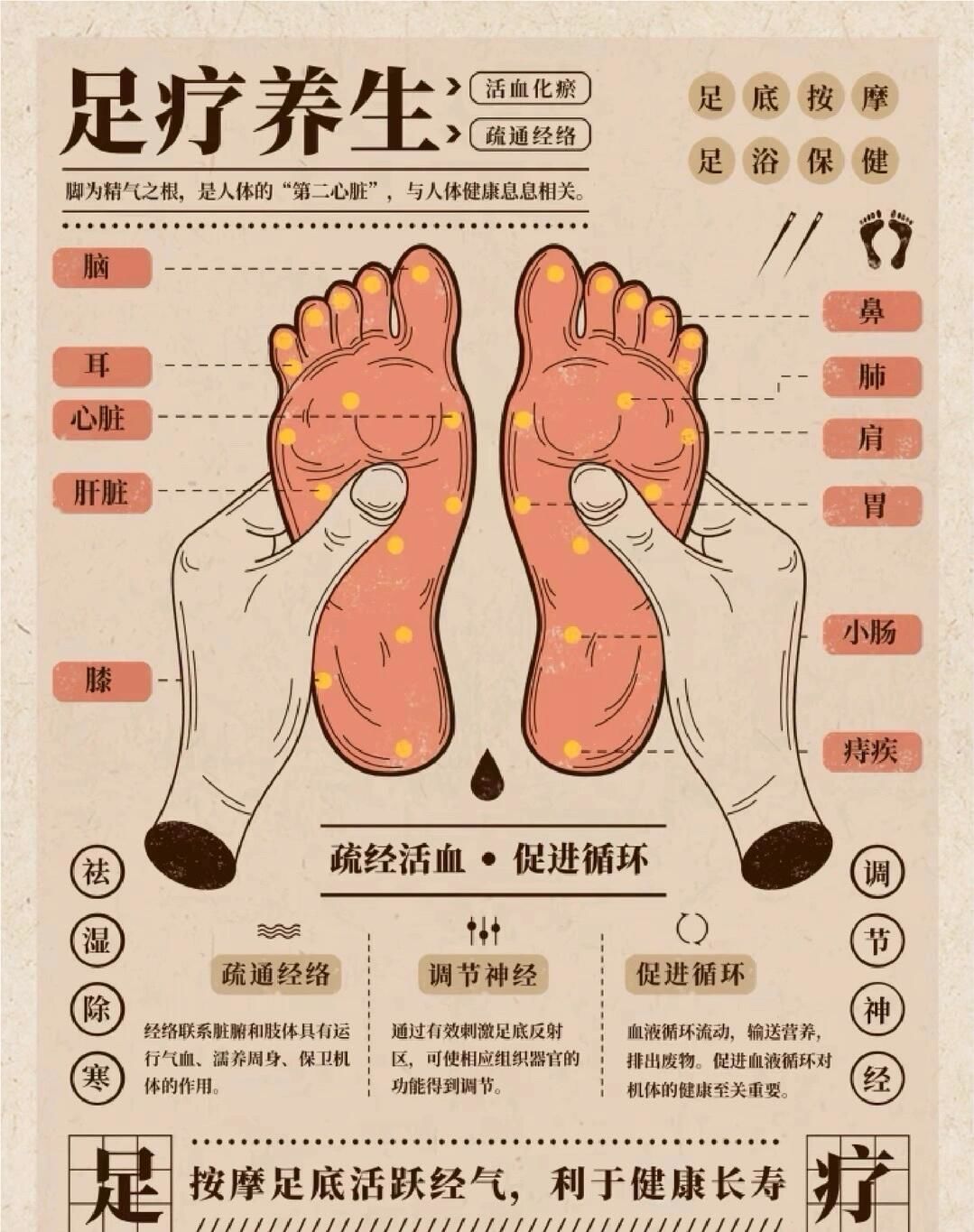大腿按摩小技巧分享
