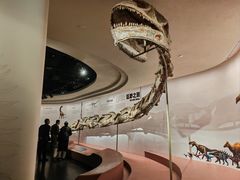 -自贡恐龙博物馆