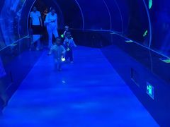 -多彩贵州城极地海洋世界