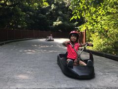-圣淘沙天际线斜坡滑车