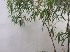 -同庆楼(花园店)