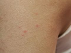 -星河湾温泉洗浴酒店