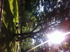 iphone_upload_pic-宾夕法尼亚大学沃顿商学院
