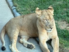 -北京野生动物园