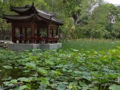 -莲湖公园