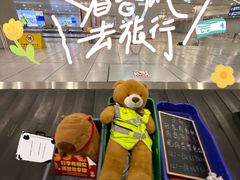 -上海浦东国际机场-T2航站楼