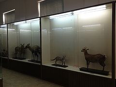 -下渚湖国家湿地公园科普馆