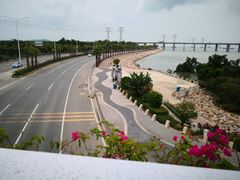 -宝安西湾红树林湿地公园