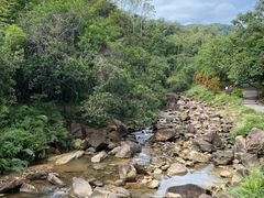 -广州白江湖森林公园