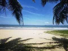 -三亚海棠湾万丽度假酒店