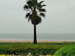 -黄金海岸环岛路