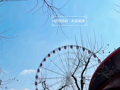 -顾村公园