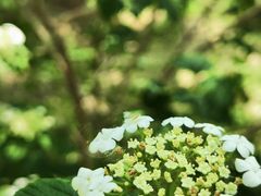 -南海子公园