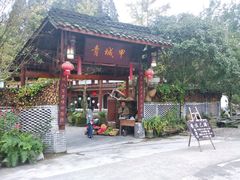 -青城甲(青城山店)