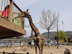 -大连森林动物园