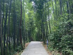 -径山寺