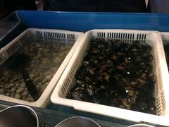 -星伦多 自助料理(圆融店)