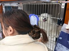 -美联众合动物医院·24h转诊中心