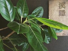 -木守西溪溪隐餐厅