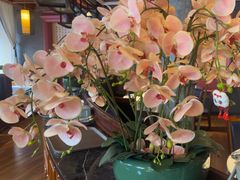 -八府香鸭·啫啫煲(华山路店)