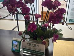 -南美元生态大酒店(海珠店)