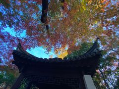 -秋霞圃