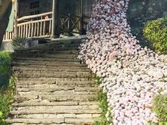 -巴倒烫陆派火锅山庄(南山总店)