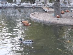 -北京市海淀外国语实验学校