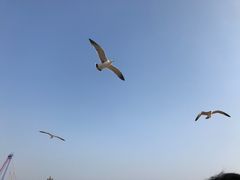 -星海广场