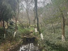 -杭州半山国家森林公园