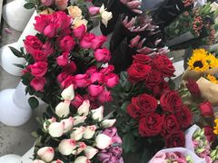 -三圣花乡旅游区