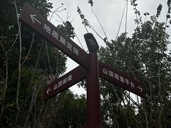 -王借岗森林公园