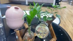 点击看大图 -曼都发型