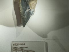 -岳阳市博物馆