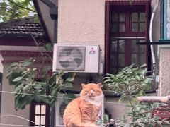 -胜灿苹果华为手机电脑维修回收(徐汇店)