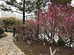 -白塘生态植物园