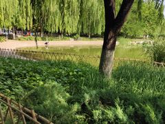 -丰台科技园生态主题公园