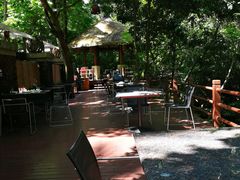 -七仙岭君澜度假酒店·桃源小馆中餐厅